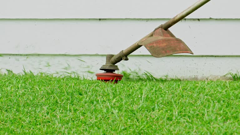 Seasonal Cleanup (Spring/Fall) in Corbin, KY